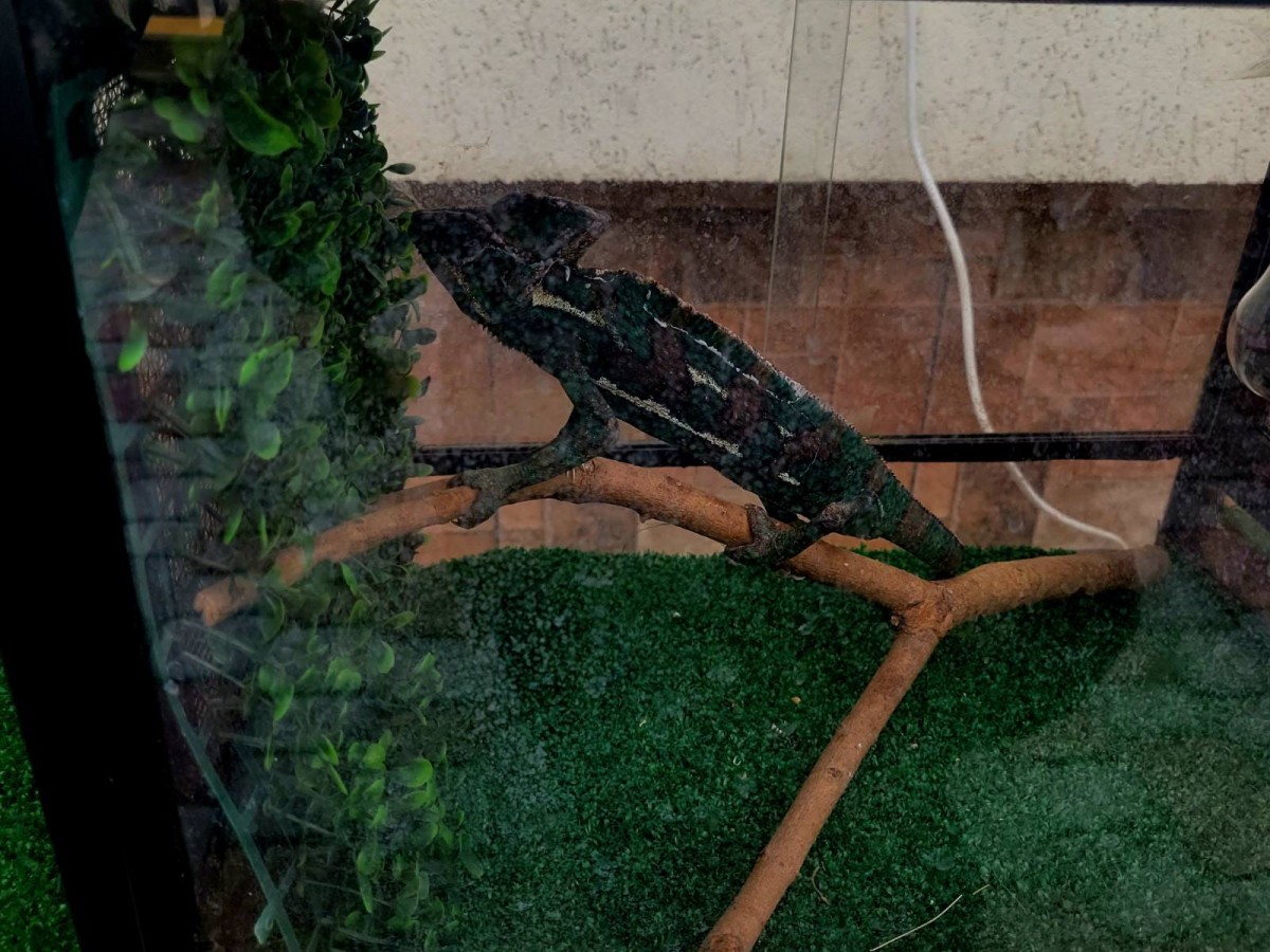 містечко професій